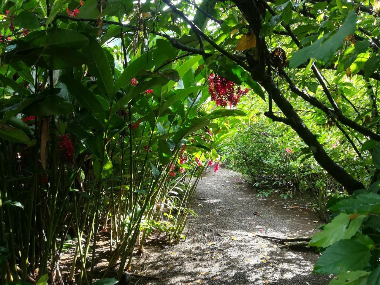 Posada Villamaga El Valle  외부 사진
