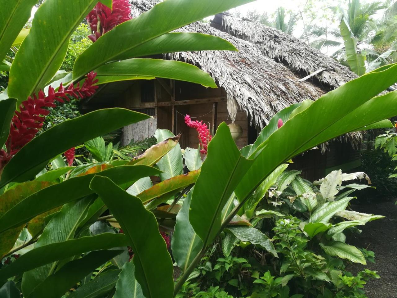 Posada Villamaga El Valle  외부 사진